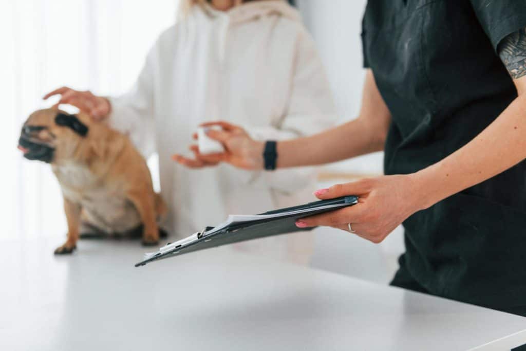 devenir assistante veterinaire 1